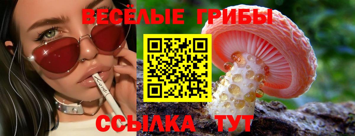 Галлюциногенные грибы Psilocybe Ишимбай