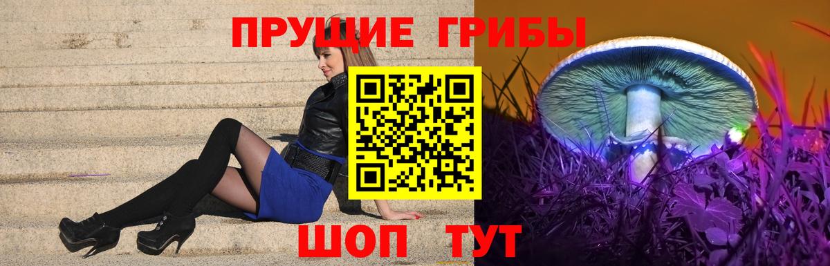 как найти наркотики  Вход с VPN  Ишимбай  Псилоцибиновые грибы GOLDEN TEACHER 